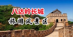 搜索男女操逼嘎嘎叫的视频中国北京-八达岭长城旅游风景区